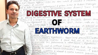 Digestive System of Earthworm Pheretima Posthuma  For IASNEETGATENET and BSc [upl. by Oer]