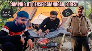 Unforgettable Camping ExperienceRoaring Tigers at Ramnagar CorbettGroup CampingTiger Sighting [upl. by Notserp]