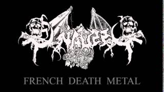 OSSUAIRE Fra Le Troubadour Necrophageophile Death metal old school France [upl. by Ruffo492]