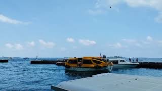 A tender arriving in the Maldives jetty cruiseship tender maldives [upl. by Ocirred785]