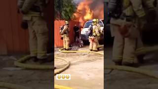 Brave Man rescues dog in crazy fire dog [upl. by Malin]