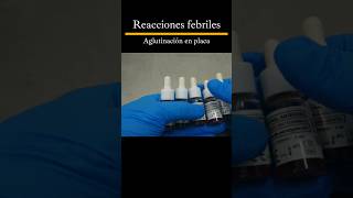 Como hacer las reacciones febriles laboratorioclinico tutorial shorts [upl. by Ahsyat]