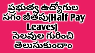 ప్రభుత్వ ఉద్యోగుల సగం జీతపు సెలవుల Half Pay Leavesగురించి తెలుసుకుందాం [upl. by Sontich666]