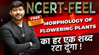 Chapter5 Morphology of Flowering Plants  360360 NCERT Feel Series neet2024 NEETkakaJEE [upl. by Sherrard]