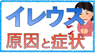 教科書をわかりやすく！「イレウスの原因と病態とは」症状の機序をわかりやすく解説！ [upl. by Chura40]