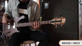 Thunderbucker Ranch Bass Pickup Demo The 66 Series  Serek Basses [upl. by Wenda531]