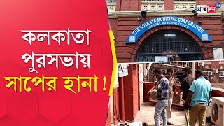 Panic among staff after snake spotted in Kolkata Municipal Corporation [upl. by Redliw]