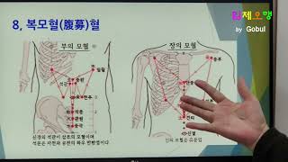 22 3특수기능혈극혈팔맥교회혈하합혈배수혈복모혈경락경혈침자리고불침자리 [upl. by Eened]