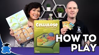 Cellulose  A Plant Cell Biology Game  How to play playing and learning about plants [upl. by Alithea]