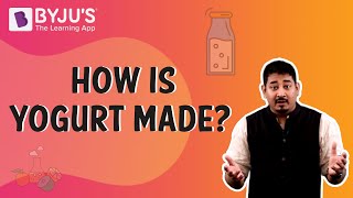 How is Yogurt Made  Learn with BYJUS [upl. by Koh]