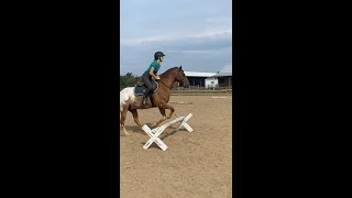 A Game Changer For Equestrians  shorts [upl. by Stauder320]