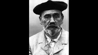 Émile Zola  Germinal Analyse [upl. by Atsylak]