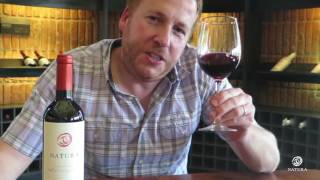 Chilean Carmenere Wine  Sustainable Wine  Natura Wines [upl. by Landon]