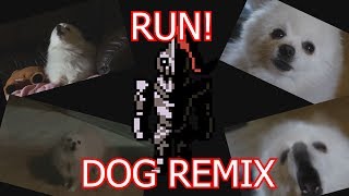 RUN Undertale Gabe the Dog Remix [upl. by Sinegra]