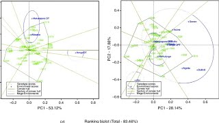 GGE analysis using R studio Part I [upl. by Coppinger]