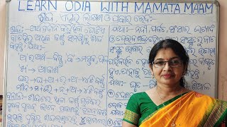 ବିଶେଷ୍ୟ  ବିଶେଷଣ ଓ ସର୍ବନାମ Concept with Selected Questions  Odia Bishesya Bishesana and Sarbanama [upl. by Harbot]