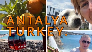 We Loved Our Dirt Cheap Holiday Abroad in Antalya Turkey antalya turkey cheapholiday [upl. by Penrose]