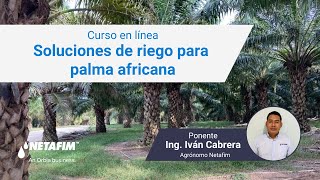 💧 Curso en línea  Soluciones de RIEGO para PALMA AFRICANA 🌴 [upl. by Madelena]