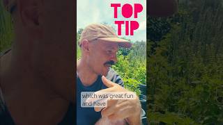 This is a “top” tip to share with you Tip Pruning garden herbs gardentip toptips tips [upl. by Arlene]