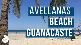 Avellanas beach Guanacaste Costa Rica  GOPlayacr [upl. by Christan16]