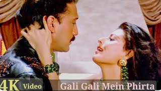 Gali Gali Mein Firta Hai from Movie Tridev 1989 duet StarMakerNetwork [upl. by Cacka]