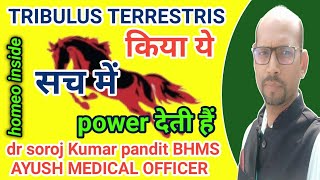 Tribulus Terrestris Q। Homeopathic Medicine। Benefits In Hindi । Gokhru Ke Fayde homeoinside [upl. by Kreis]