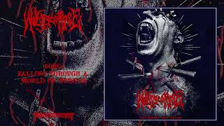 WALKING CORPSE  Falling Through A World of Wounds GrindcoreDeath Metal Transcending Obscurity [upl. by Christiano]