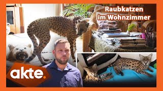 Die Tigerkings von Deutschland Undercover bei illegalen RaubkatzenVerkäufen  Akte  SAT1 [upl. by Xilef178]