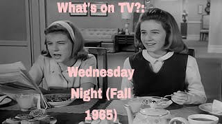 Whats on TV Wednesday Nights Fall 1965 [upl. by Rotce928]