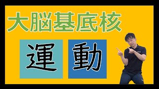 大脳基底核の理解とパーキンソン病ハンチントン病メカニズム [upl. by Dasi]