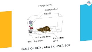 Skinners Operant Conditioning Theory Full Video [upl. by Aitercul]