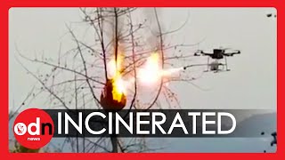 Flamethrowing Drone Torches Wasp Nests in China [upl. by Sikleb]