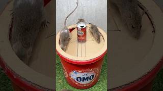 Best home mouse trapcreative mouse trap rat mousetrap [upl. by Darlene]