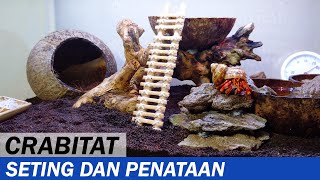 Cara Membuat Crabitat Sederhana untuk Kelomang Coenobita perlatus  DIY  Crabpedia [upl. by Mook]