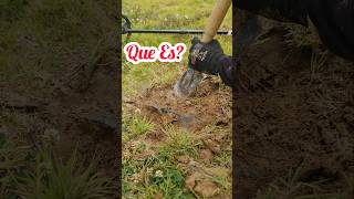 Extraño Objeto Enterrado En Guatape detectordemetales detector metaldetecting [upl. by Thgiwed]