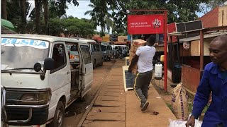 Morning Walk Around Entebbe Town Kitooro In Uganda🇺🇬 [upl. by Lyrpa]