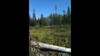 20lb Propane tank explosion with shotgun [upl. by Nais]