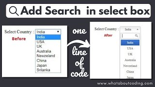 How to Add Search Bar in Select dropdown [upl. by Eiramaneet]