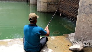 AWSOME fishingfisherman catching defrent fishes with small hook [upl. by Ydnac]