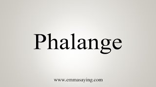 How To Say Phalange [upl. by Vikki]