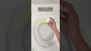 Say Goodbye to Yellow Stains on Your Toilet Seat – The Easy Way [upl. by Sam]