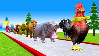 Paint Animals ChickenLion Hippo Cow Elephent Fountain Crossing Transformation Cartoon [upl. by Iila]