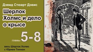 Шерлок Холмс и дело о крысе 🎧📚 Дэвид Стюарт Дэвис Роман Главы 58 Детектив Аудиокнига [upl. by Leavy]