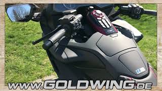 Goldwing STANDARD Sondermodell  376  Goldwing Haus Fuchs [upl. by Nahgeem486]