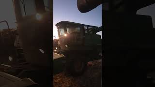 Unloading corn corny farming cornfedbeef agriculture fyp shorts [upl. by Herrod]