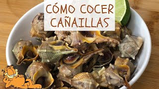 Cómo Cocer Cañaillas 🤤 ¡CARACOLES DE MAR [upl. by Pelmas]