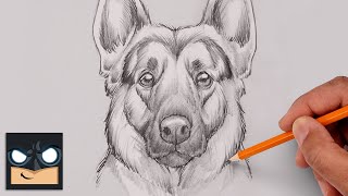 How To Draw a DOG  GERMAN SHEPHERD  Step By Step Sketch Tutorial [upl. by Nitsoj]