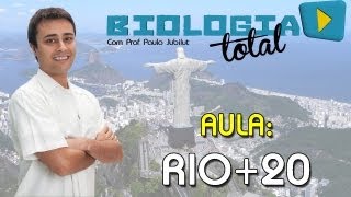 Rio20  Prof Paulo Jubilut [upl. by Ayala]