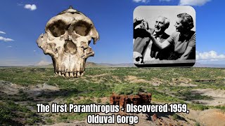 Paranthropus Boisei or Homo habilis Mystery just solved [upl. by Notnef249]