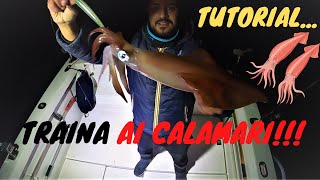 TUTORIAL TRAINA AI CALAMARI  COME PESCARE I CALAMARI DALLA BARCA  EGING DALLA BARCA  GIANT SQUID [upl. by Ahsitam705]